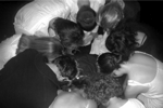 RIMG0036_1
